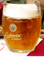 Budvar Yeast Beer - served slightly hazy - now available in the UK